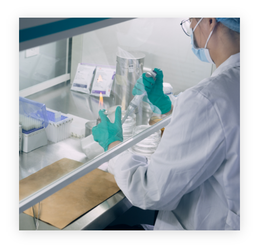 PP电子(中国)有限公司官网