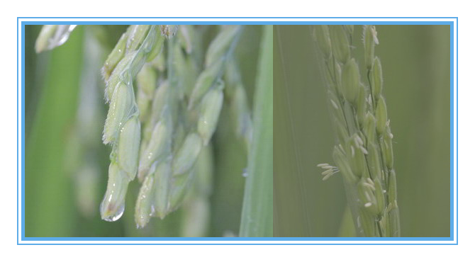 PP电子(中国)有限公司官网