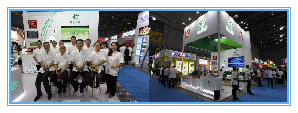 PP电子(中国)有限公司官网