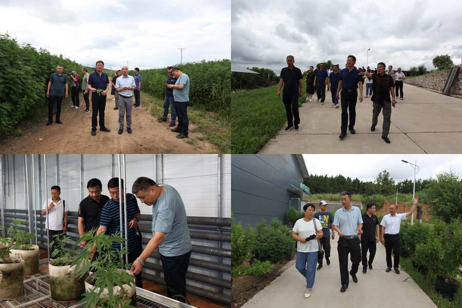 PP电子(中国)有限公司官网