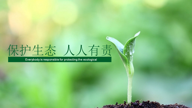 PP电子(中国)有限公司官网