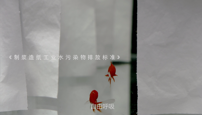 PP电子(中国)有限公司官网