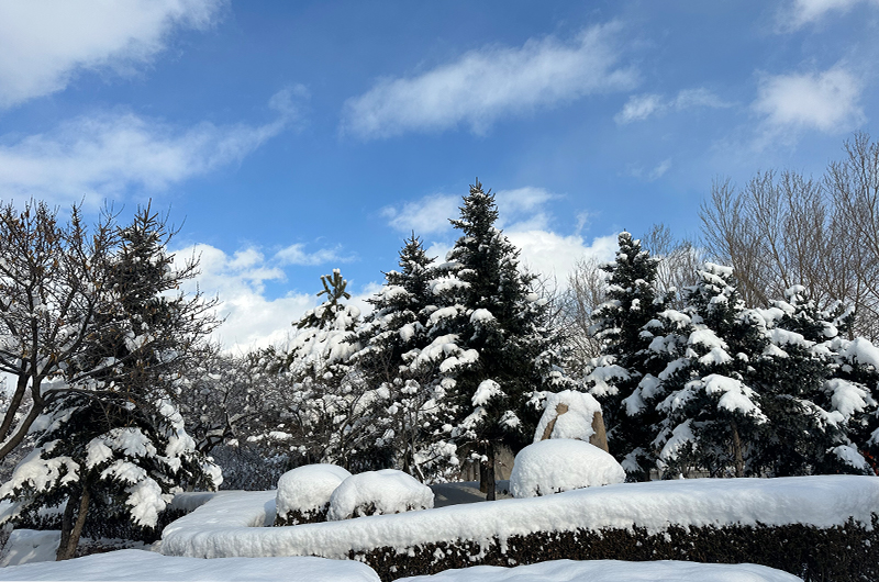 PP电子(中国)有限公司官网