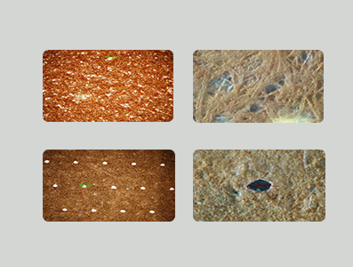 PP电子(中国)有限公司官网