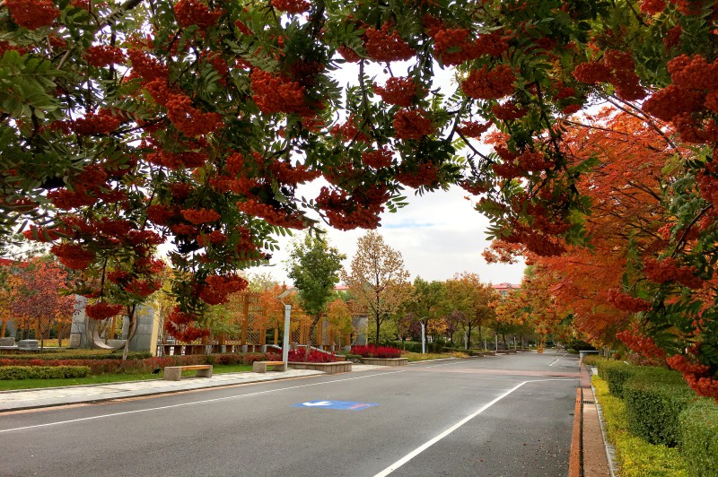 PP电子(中国)有限公司官网