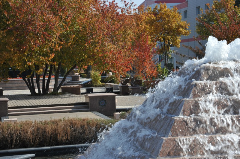 PP电子(中国)有限公司官网