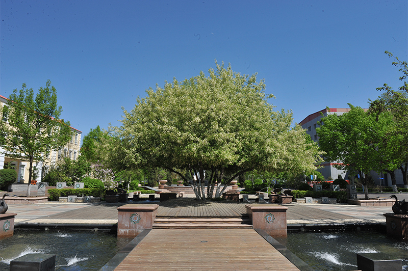 PP电子(中国)有限公司官网