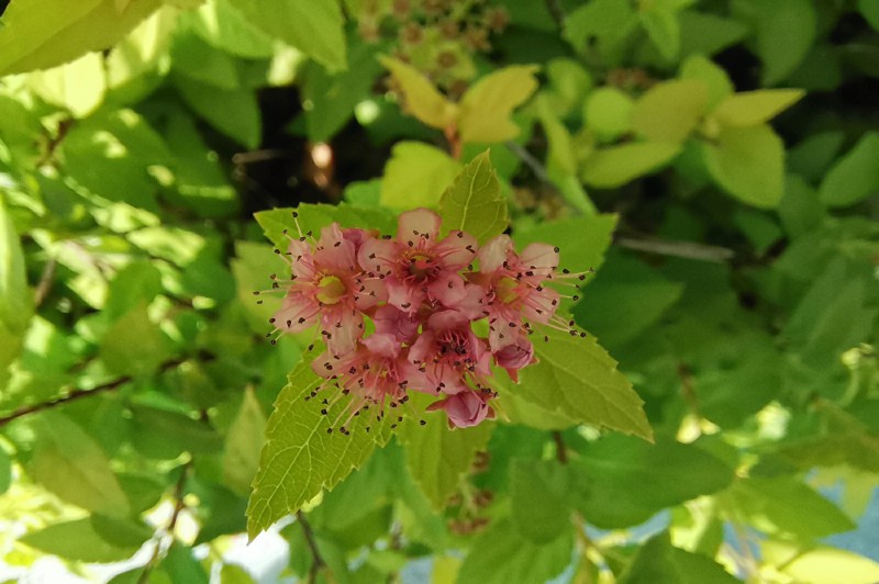 PP电子(中国)有限公司官网