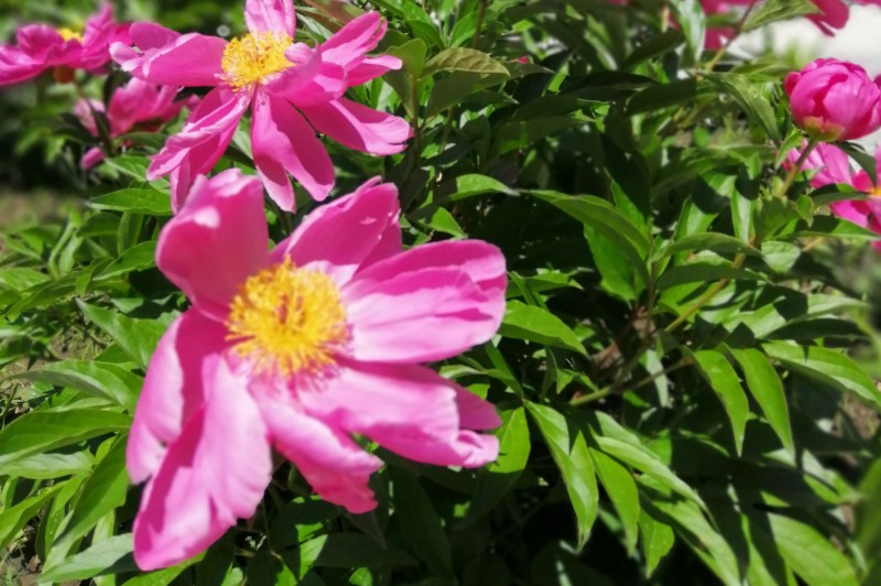 PP电子(中国)有限公司官网