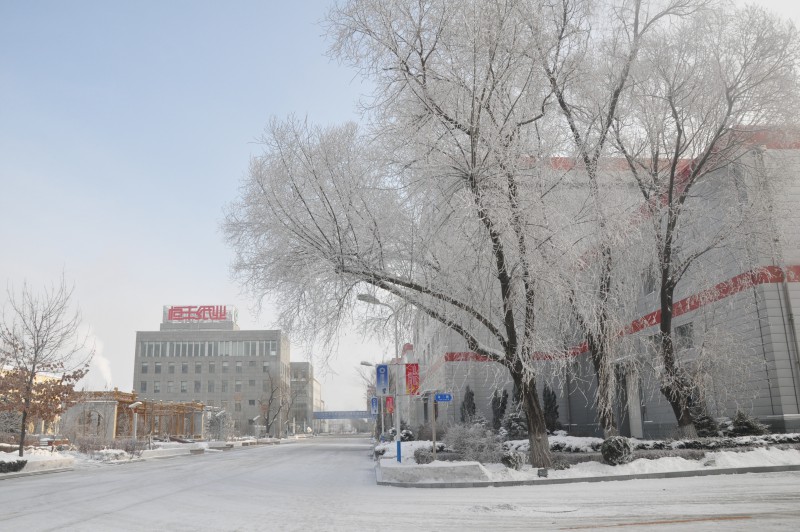 PP电子(中国)有限公司官网