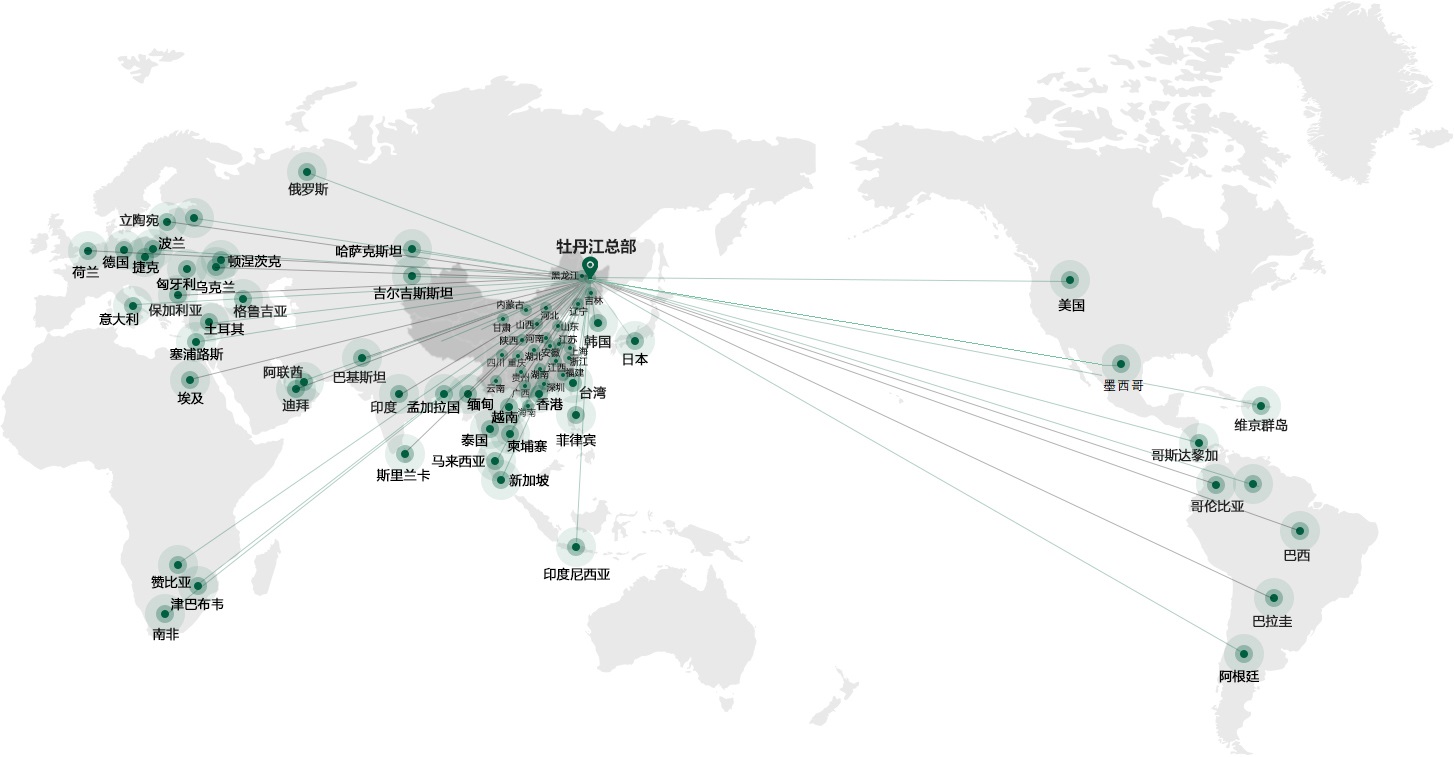 PP电子(中国)有限公司官网